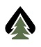ACE-crop-Copy